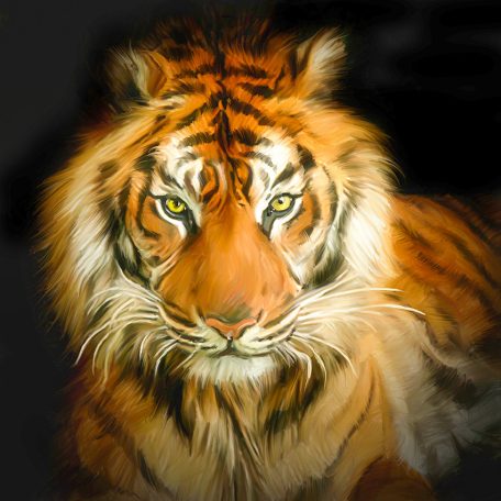 Tigris falmatrica