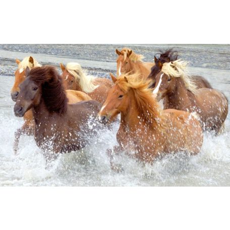 Vágtázó lovak a vízben