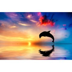 Delfin a naplementében  