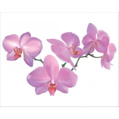 Orchideák
