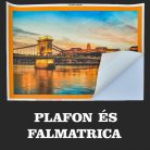 Gyümölcs virág falmatrica