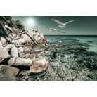 Madarak a tengerparton     