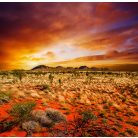 Naplemente falmatrica