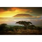 Kilimanjaro