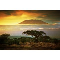 Kilimanjaro