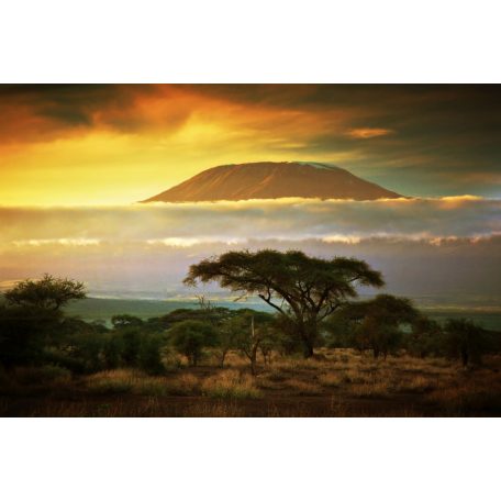 Kilimanjaro