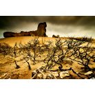 Extra fakeretes sivatag